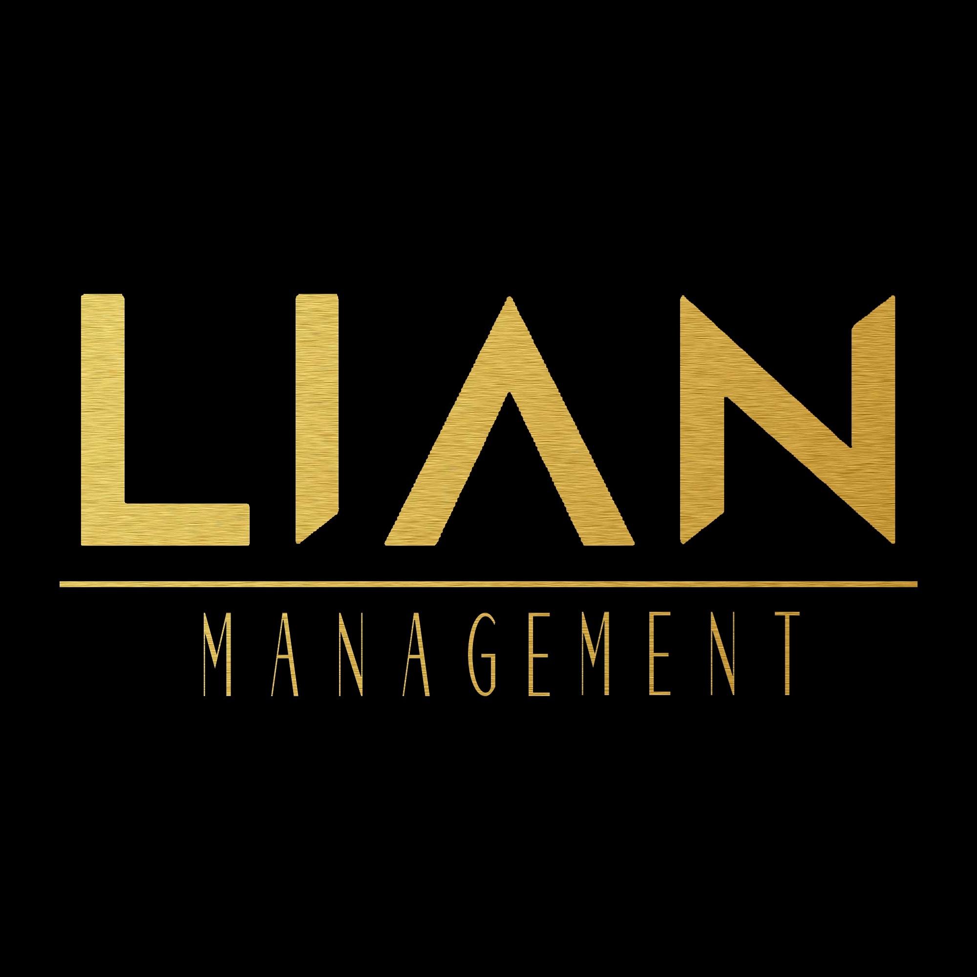 lianmanagementlogo